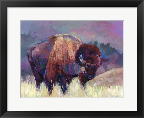 Framed Buffalo Roam Print