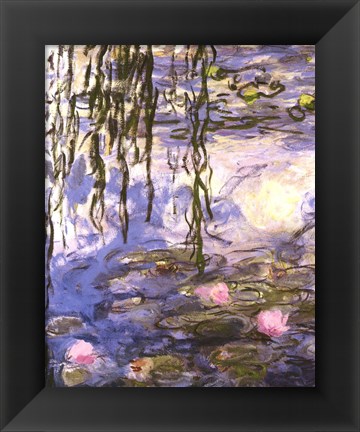 Framed Waterlilies (pink flowers) Print