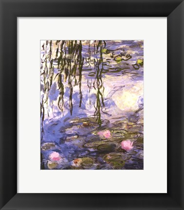 Framed Waterlilies (pink flowers) Print