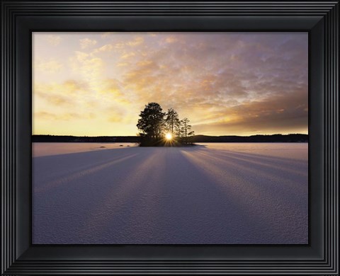 Framed Sun Kissed Print