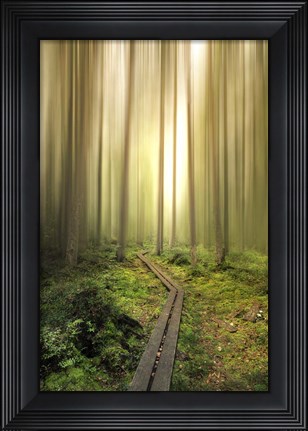 Framed Into the Light Print