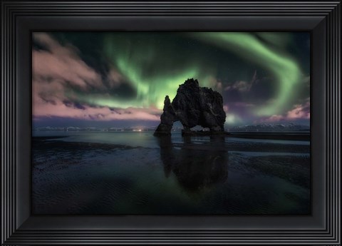 Framed Rhino Print