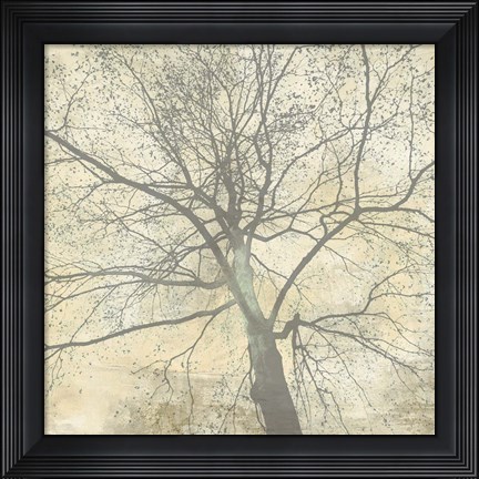 Framed Below My Tree II (detail) Print