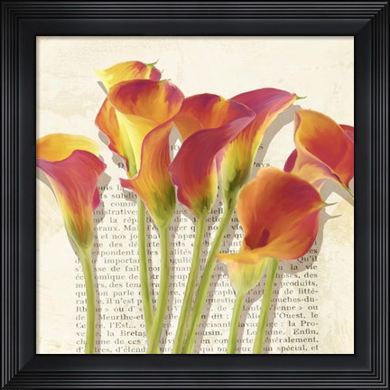 Framed Histoires de Callas (detail) Print