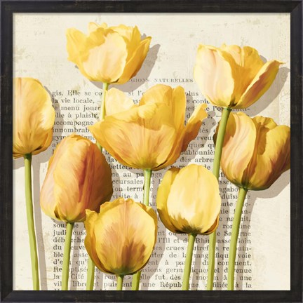 Framed Histoires de Tulipes (detail) Print