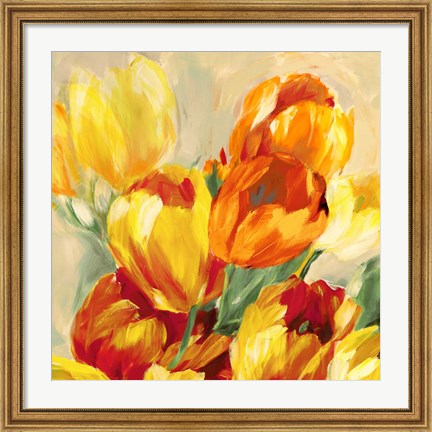 Framed Tulips in the Sun I Print