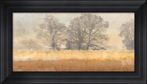Framed Trees in the Mist Print