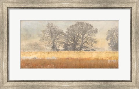 Framed Trees in the Mist Print