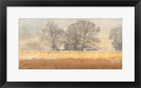 Framed Trees in the Mist Print