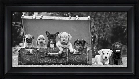 Framed Dog Pups in a Suitcase Print