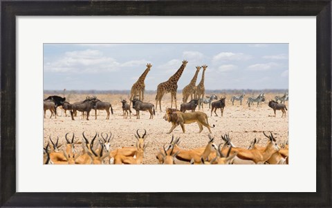Framed Sovereign Passing By (Masai Mara) Print