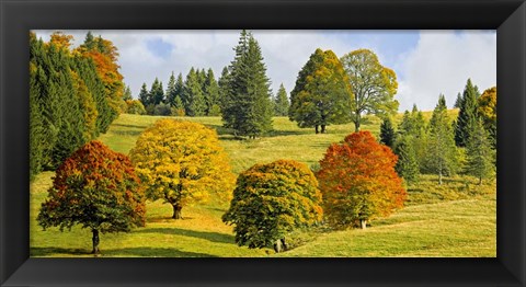 Framed Autumn in Quebec Print