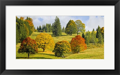 Framed Autumn in Quebec Print