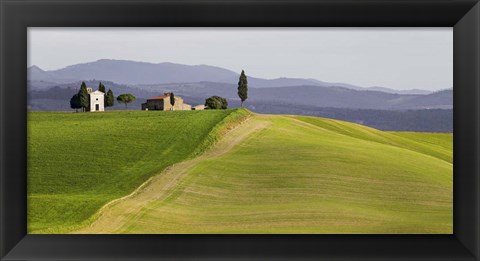 Framed Val d&#39;Orcia, Siena, Tuscany (detail) Print