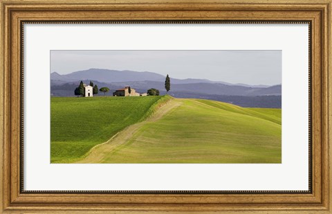 Framed Val d&#39;Orcia, Siena, Tuscany (detail) Print