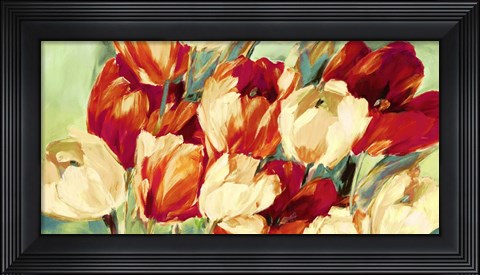 Framed Red &amp; White Tulips Print