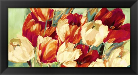 Framed Red &amp; White Tulips Print