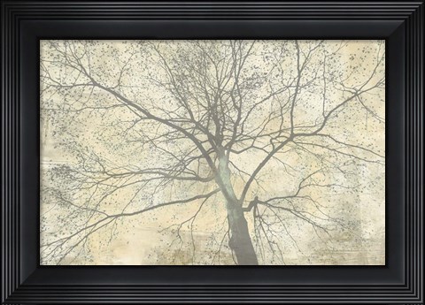 Framed Below My Tree II Print