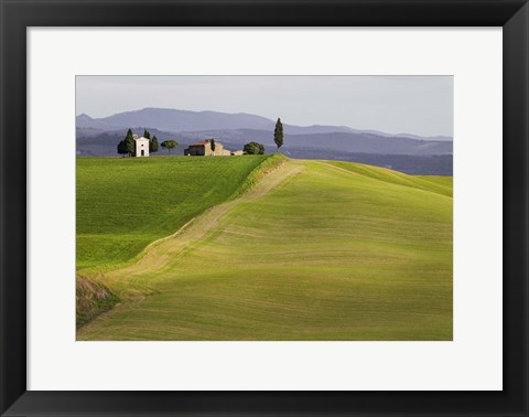 Framed Val d&#39;Orcia, Siena, Tuscany Print