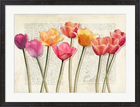 Framed Fleurs et Histoires Print