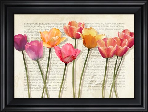 Framed Fleurs et Histoires Print