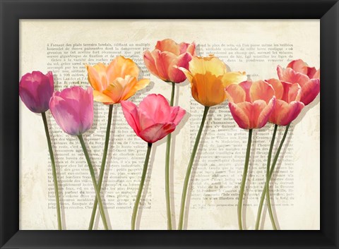 Framed Fleurs et Histoires Print