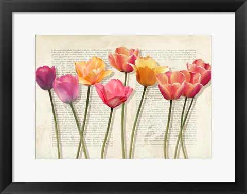 Framed Fleurs et Histoires Print