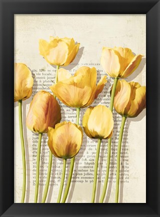 Framed Tulipes et Histoires Print