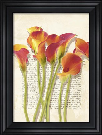 Framed Callas et Histoires Print