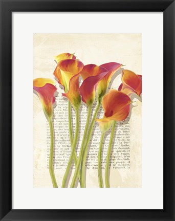 Framed Callas et Histoires Print