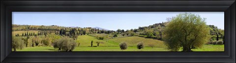 Framed Val d&#39;Orcia, Siena, Tuscany Print