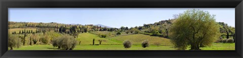 Framed Val d&#39;Orcia, Siena, Tuscany Print