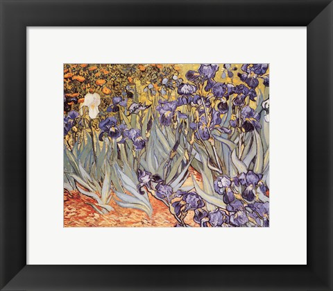 Framed Irises in the Garden, Saint-Remy, c.1889 Print