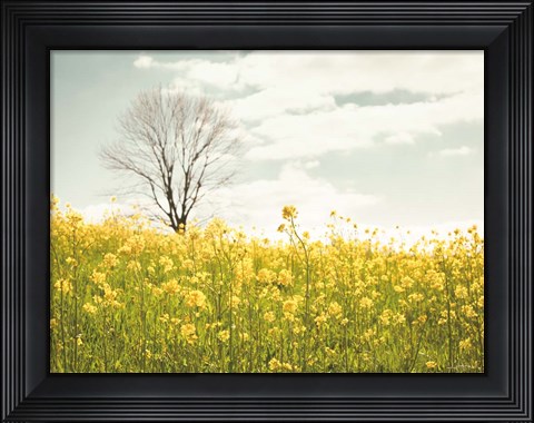 Framed Yellow Meadow Print