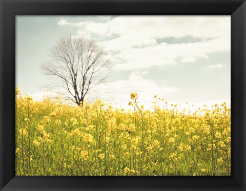 Framed Yellow Meadow Print