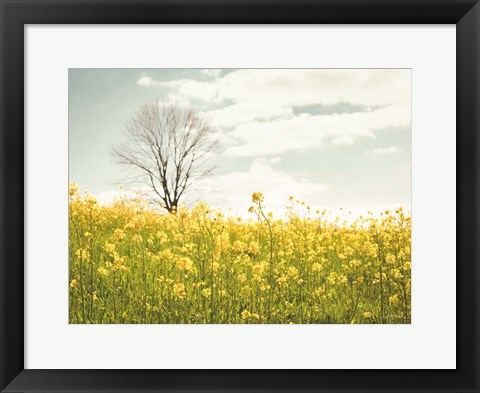 Framed Yellow Meadow Print