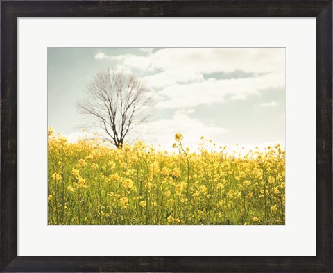 Framed Yellow Meadow Print