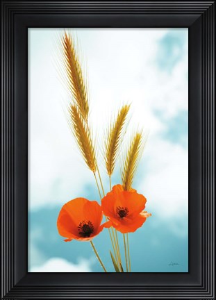 Framed Wild Poppies Print