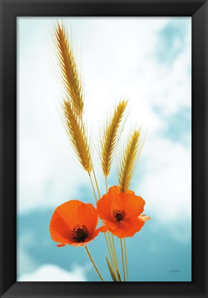 Framed Wild Poppies Print