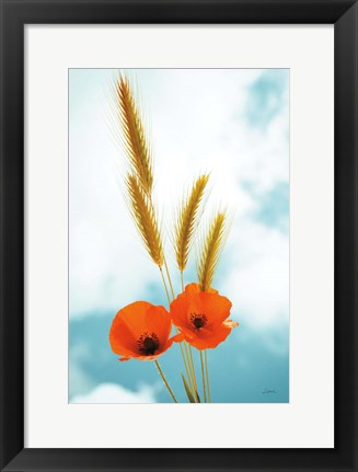 Framed Wild Poppies Print