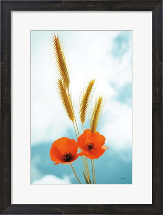 Framed Wild Poppies Print