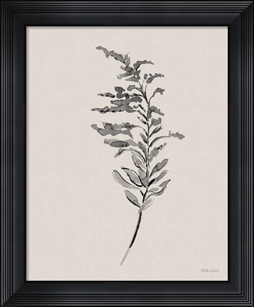 Framed Harvest Classics V on Cream Print