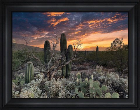Framed Sunset Moonrise Print