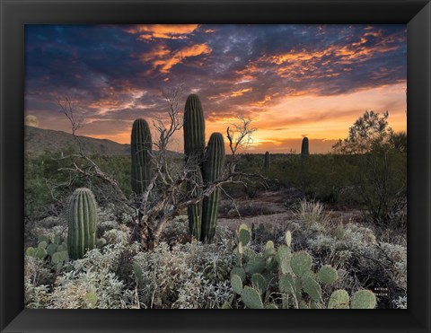 Framed Sunset Moonrise Print