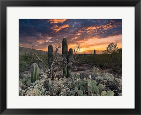 Framed Sunset Moonrise Print