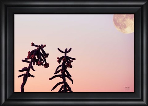 Framed Moon Desert Print