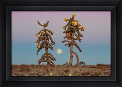 Framed Desert Moonrise Print