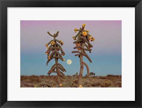 Framed Desert Moonrise Print