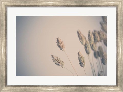 Framed Dried Grass Study Print