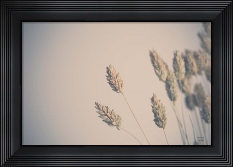 Framed Dried Grass Study Print